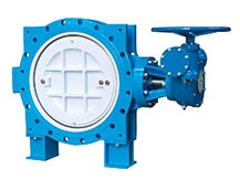 eccentric flanged butterfly valve(DC type)